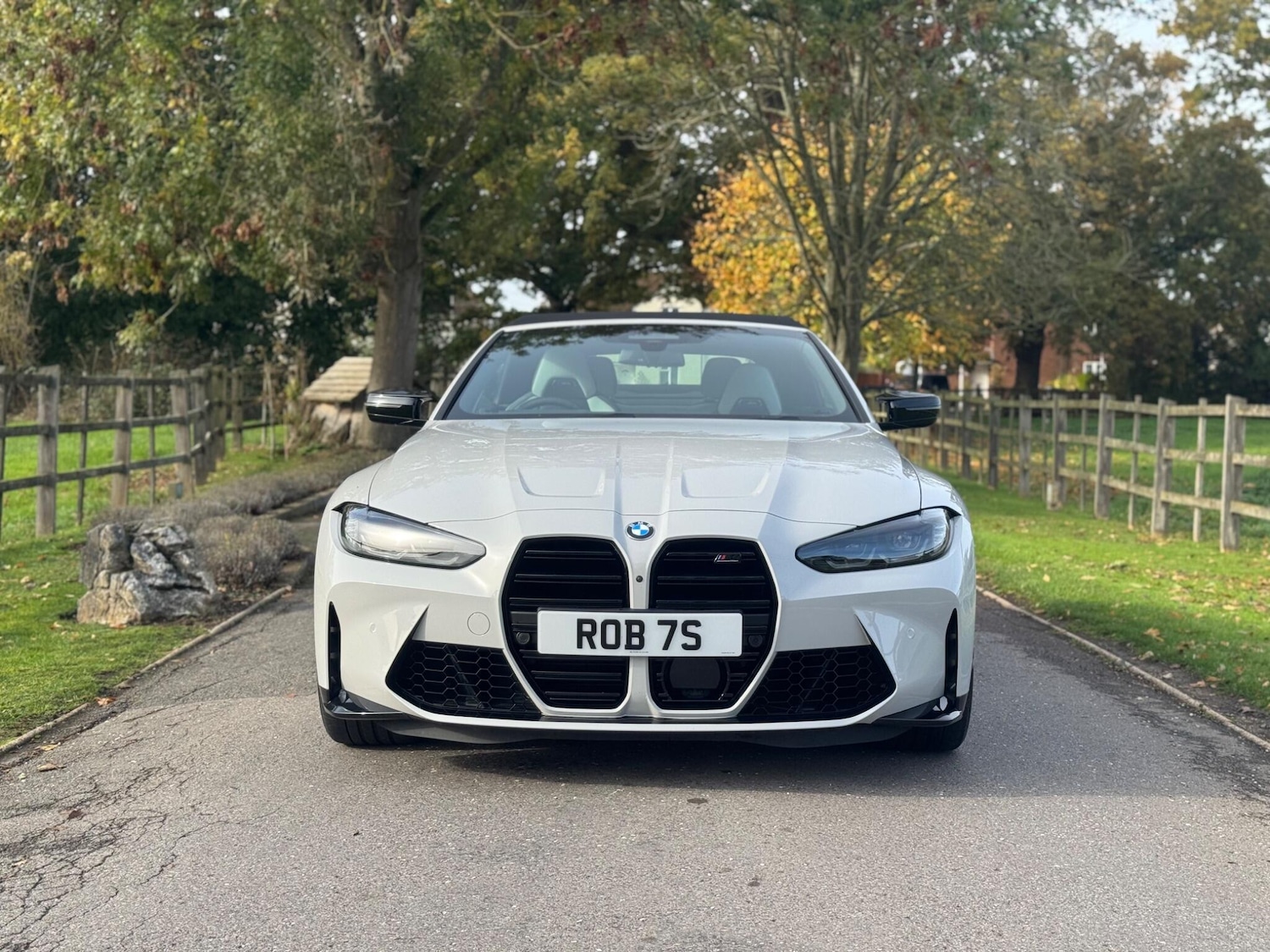 Used BMW M4 for sale - 77166782: Photo 3