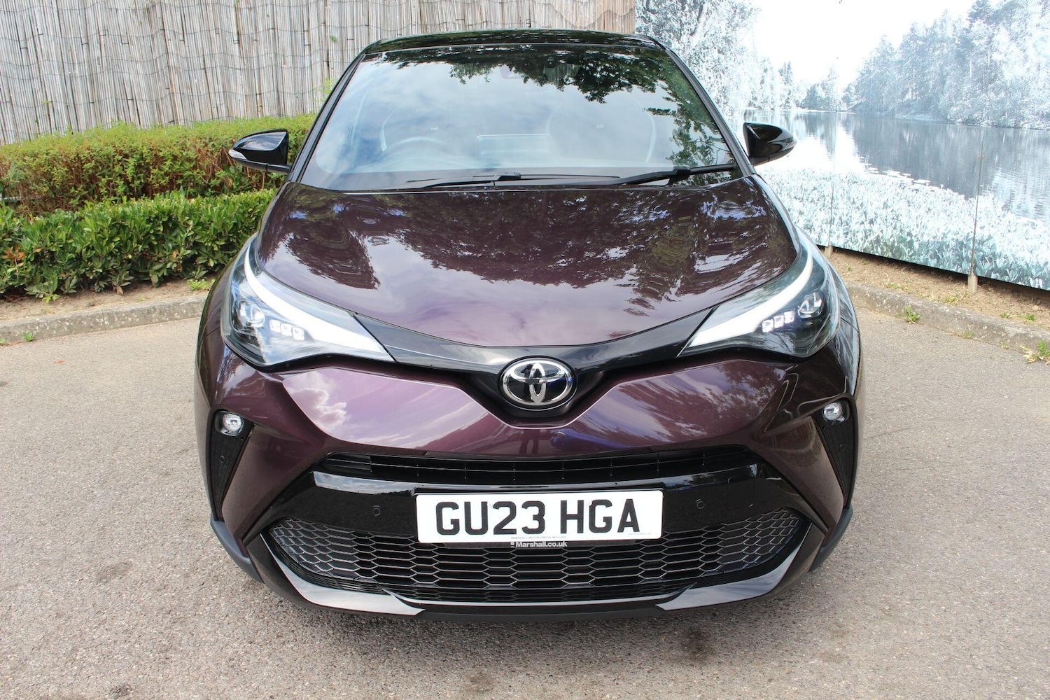 Vehicle 6