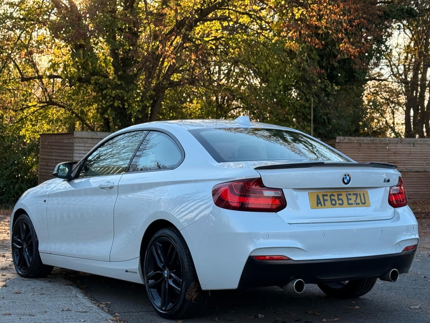 Used BMW 2 Series 2015 for sale - 76634118: Photo 5