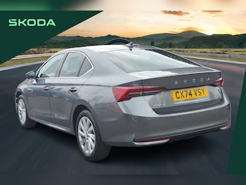 Used Skoda Octavia 2024 for sale - 76677677: Photo