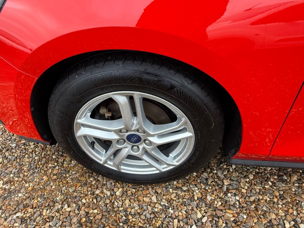 Used Ford Focus 2019 for sale - 76724841: Photo 20