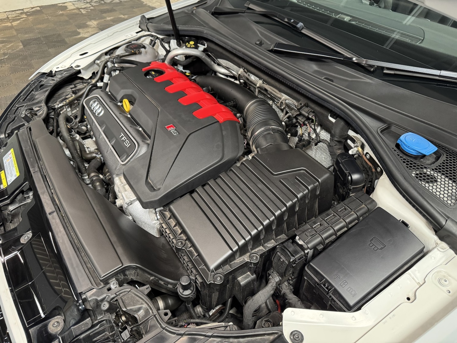 Used Audi RS3 2019 for sale - 77721206: Photo 67