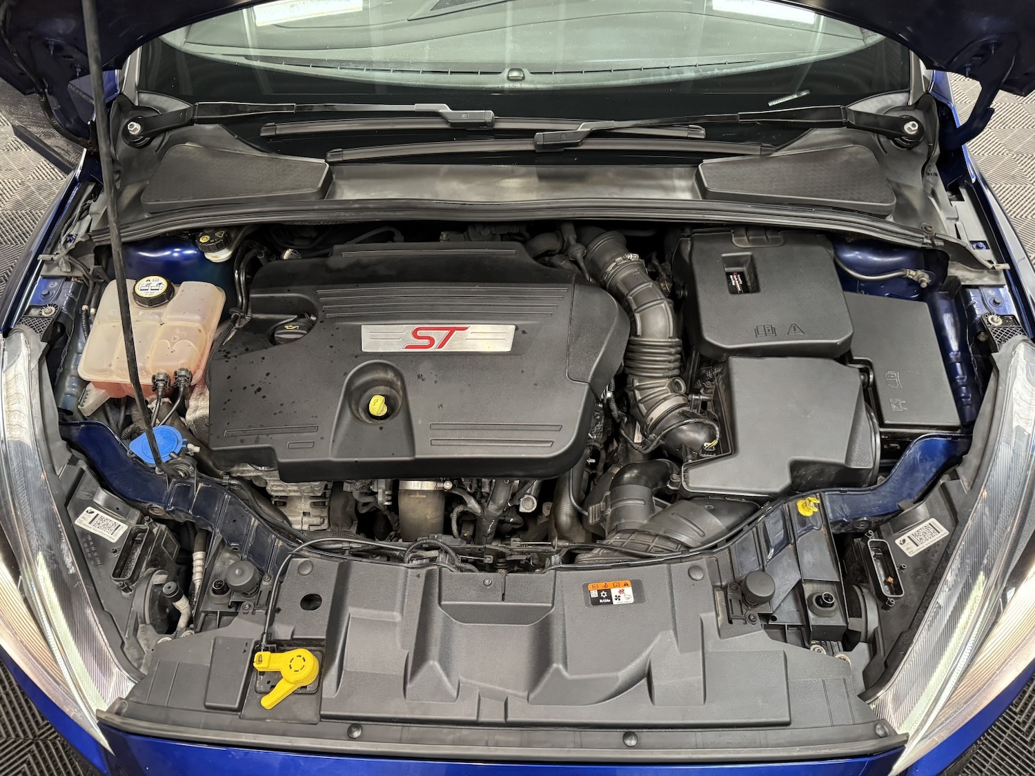 Used Ford Focus 2016 for sale - 77201262: Photo 54