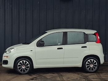 Used Fiat Panda 2017 for sale - 79031558: Photo