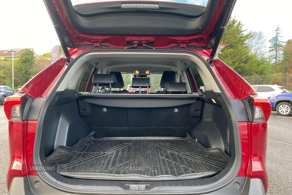 Used Toyota RAV4 2019 for sale - 76825593: Photo 14