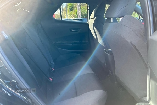 Used Toyota C-HR 2025 for sale - 77565243: Photo 13