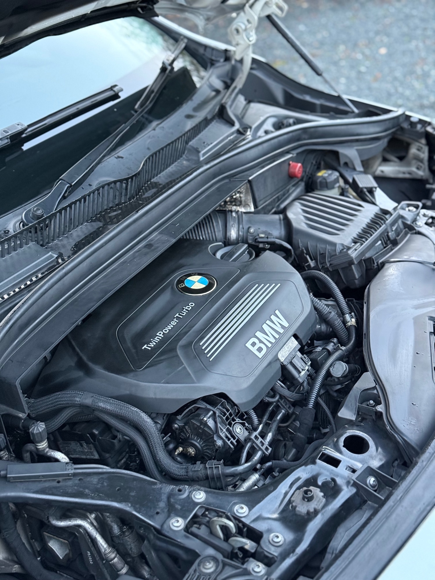 Used BMW 2 Series 2016 for sale - 76545468: Photo 21