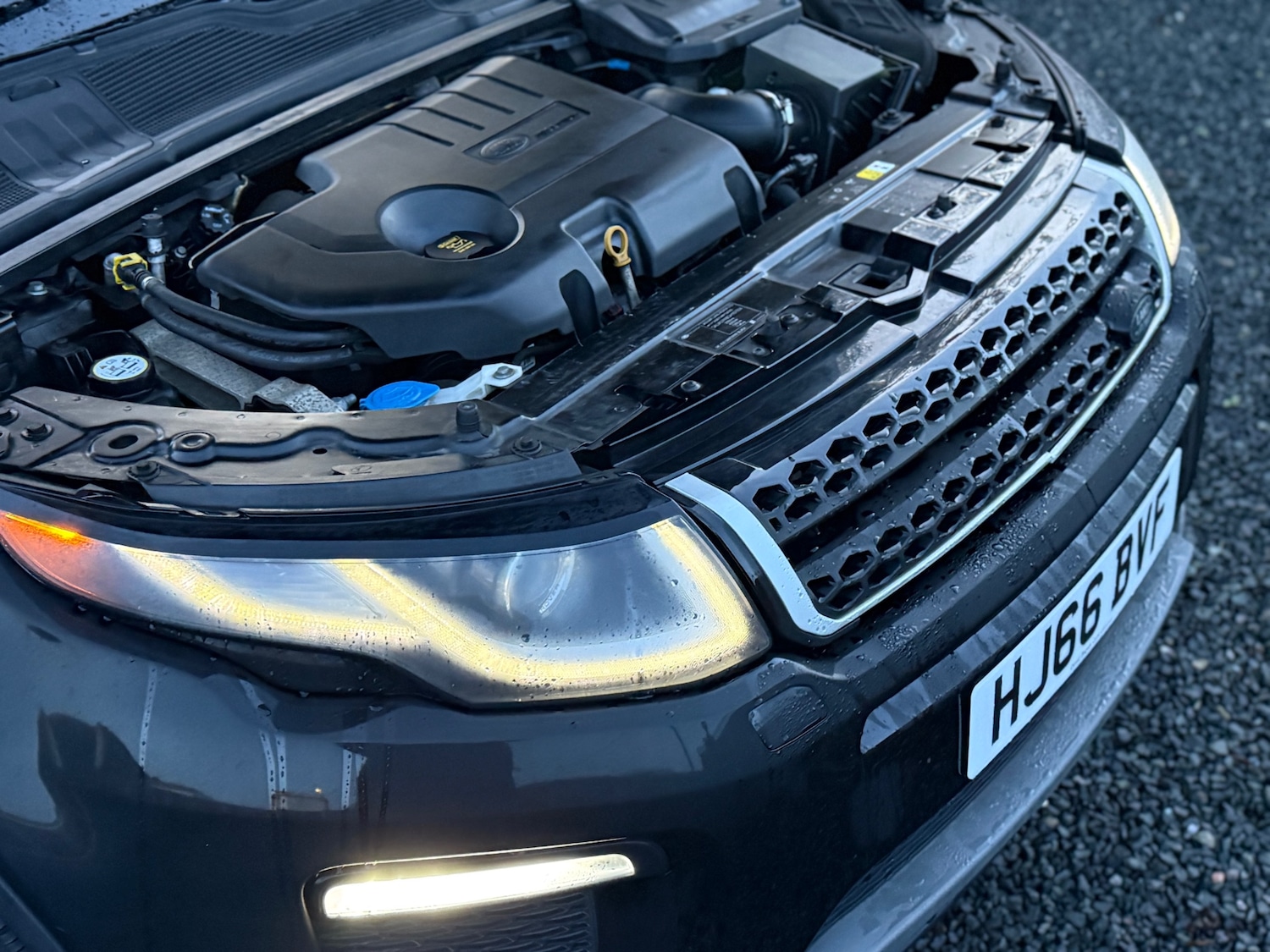 Used Land Rover Range Rover Evoque 2016 for sale - 76545730: Photo 21