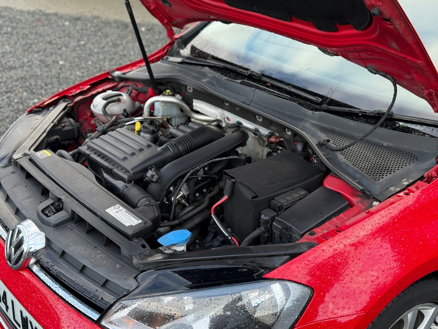 Used Volkswagen Golf 2015 for sale - 77160781: Photo 10