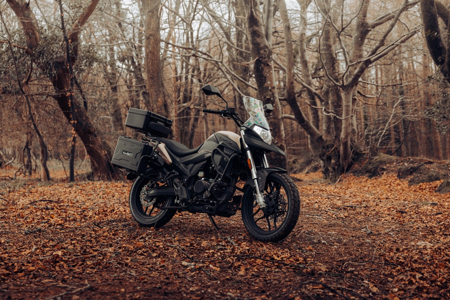 Used LEXMOTO RX1 125 for sale - 78285820: Photo 11