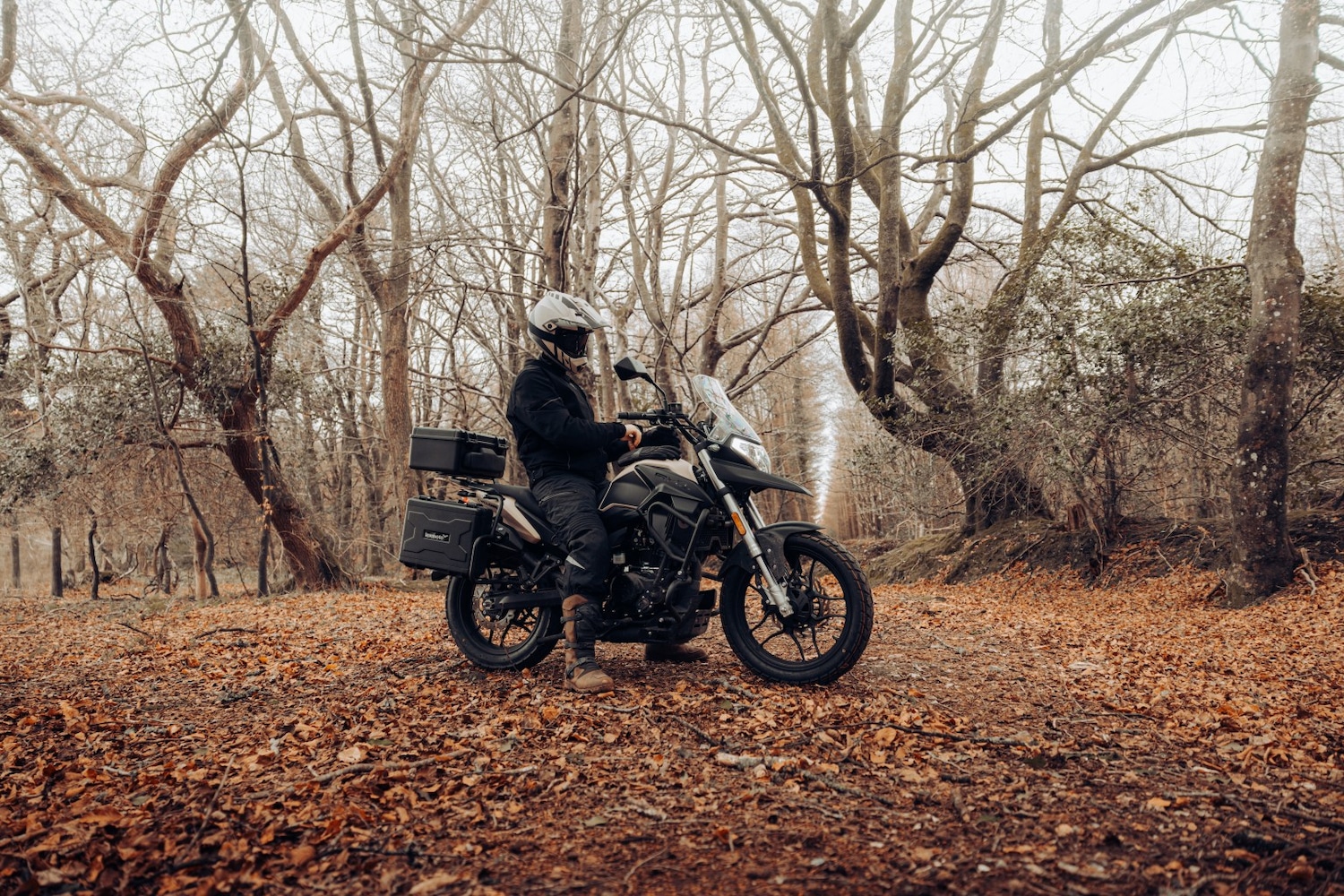 Used LEXMOTO RX1 125 for sale - 78285820: Photo 14