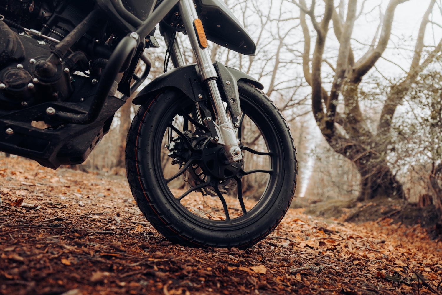 Used LEXMOTO RX1 125 for sale - 78285820: Photo 16