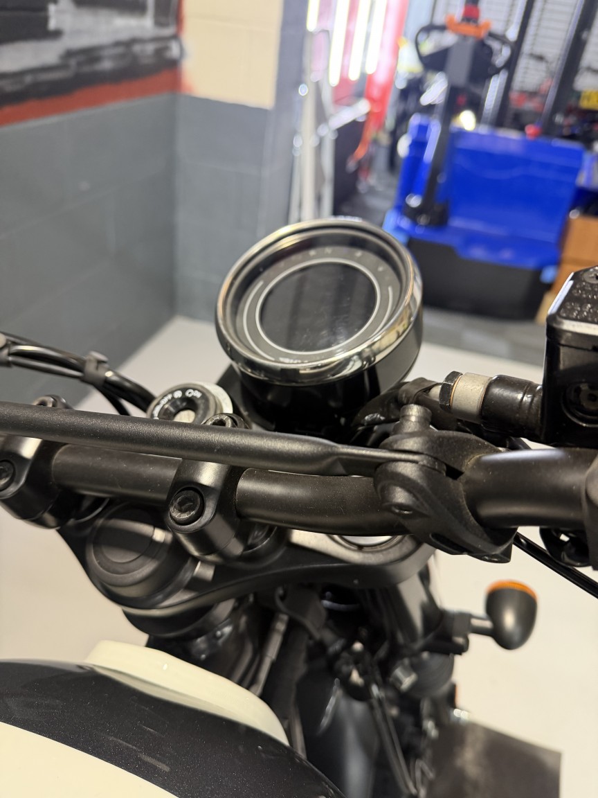Used BSA SCRAMBLER for sale - 78285819: Photo 10