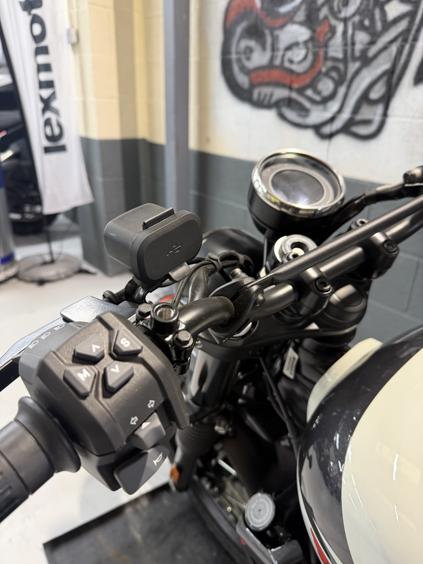 Used BSA SCRAMBLER for sale - 78285819: Photo 23