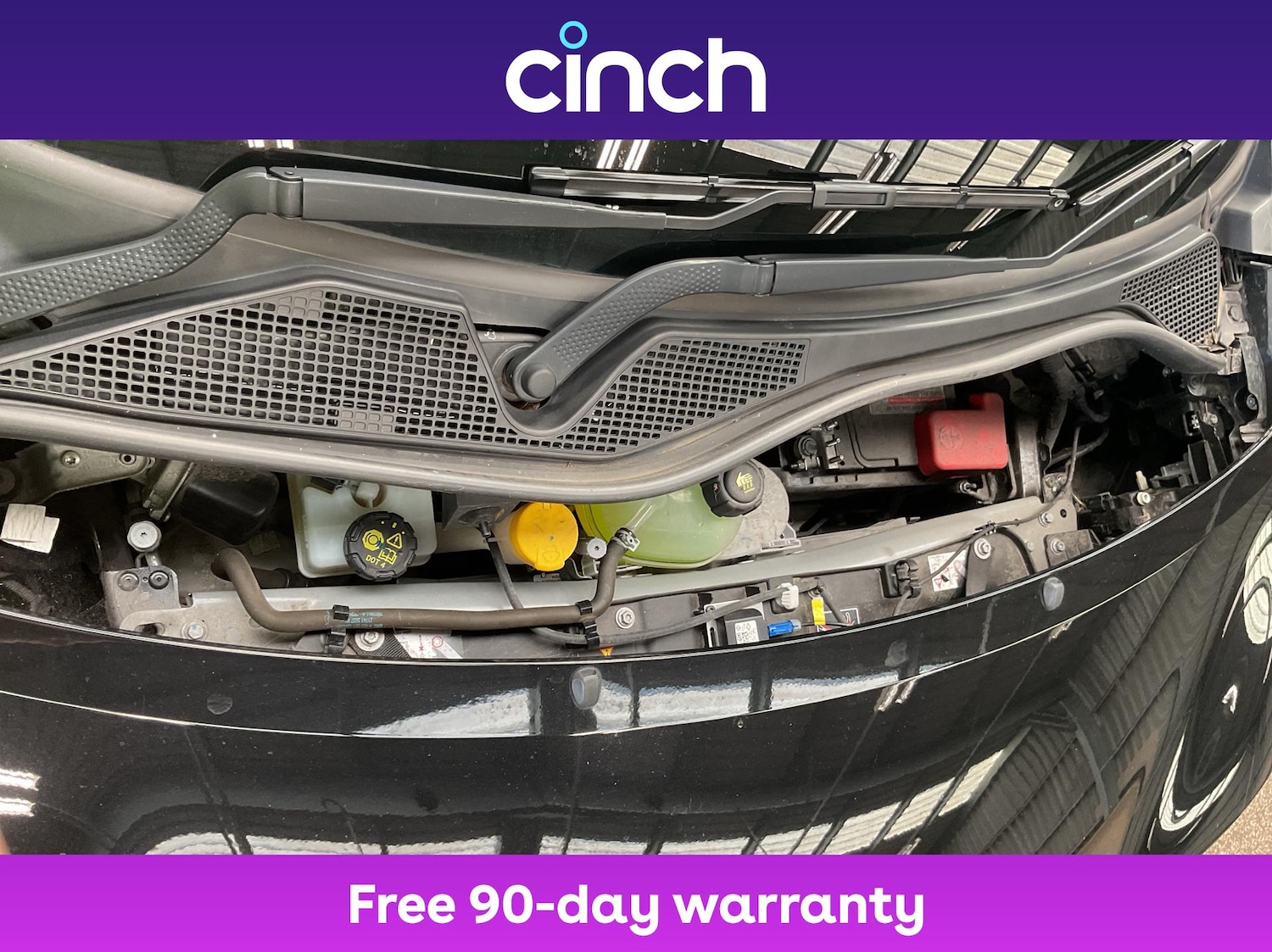 Used smart forfour 2022 for sale - 76480648: Photo 23