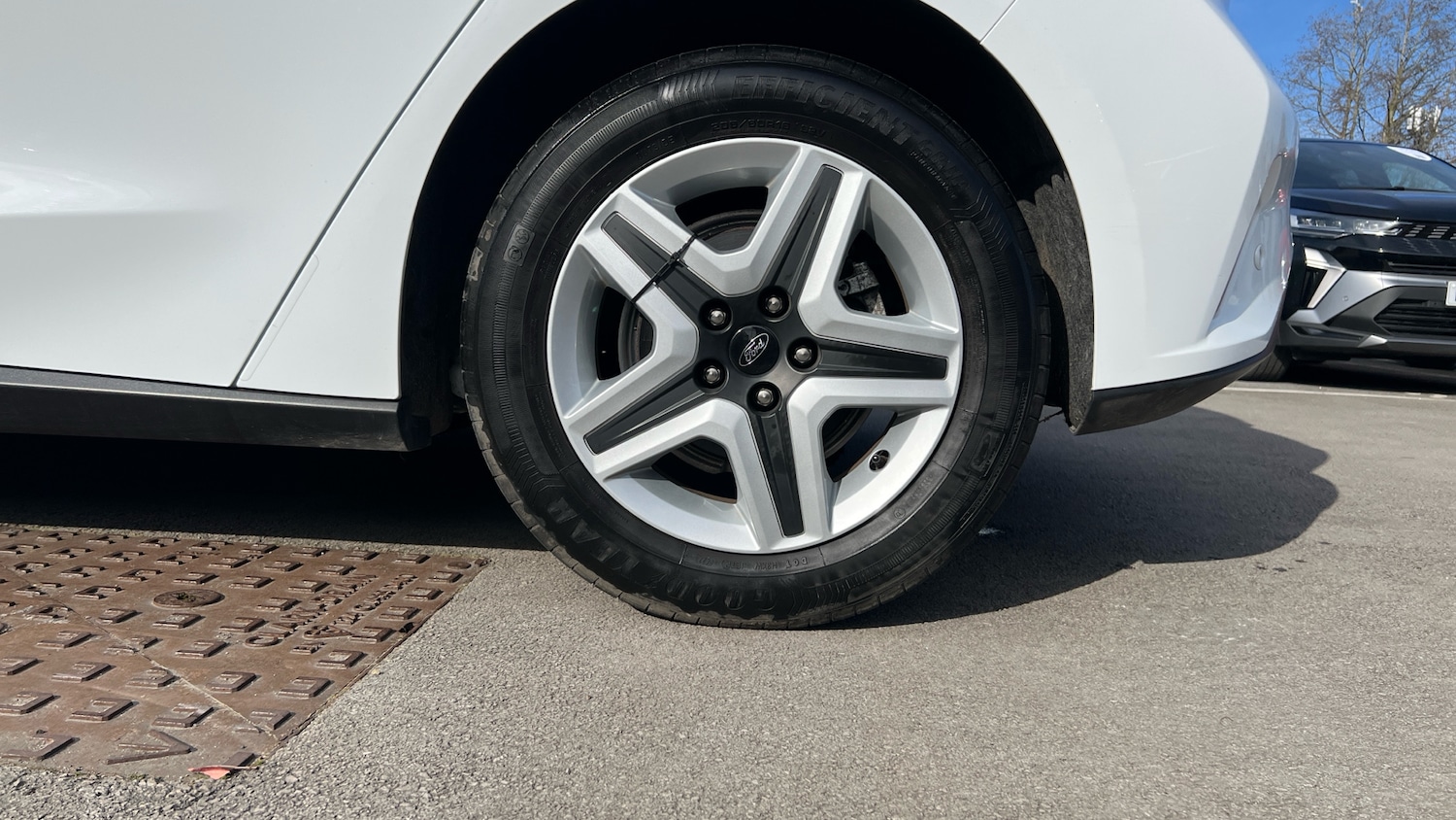 Used Ford Focus 2022 for sale - 77761748: Photo 7