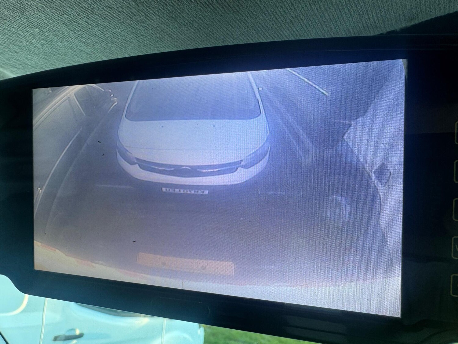 Used Iveco Daily 2019 for sale - 77924792: Photo 16