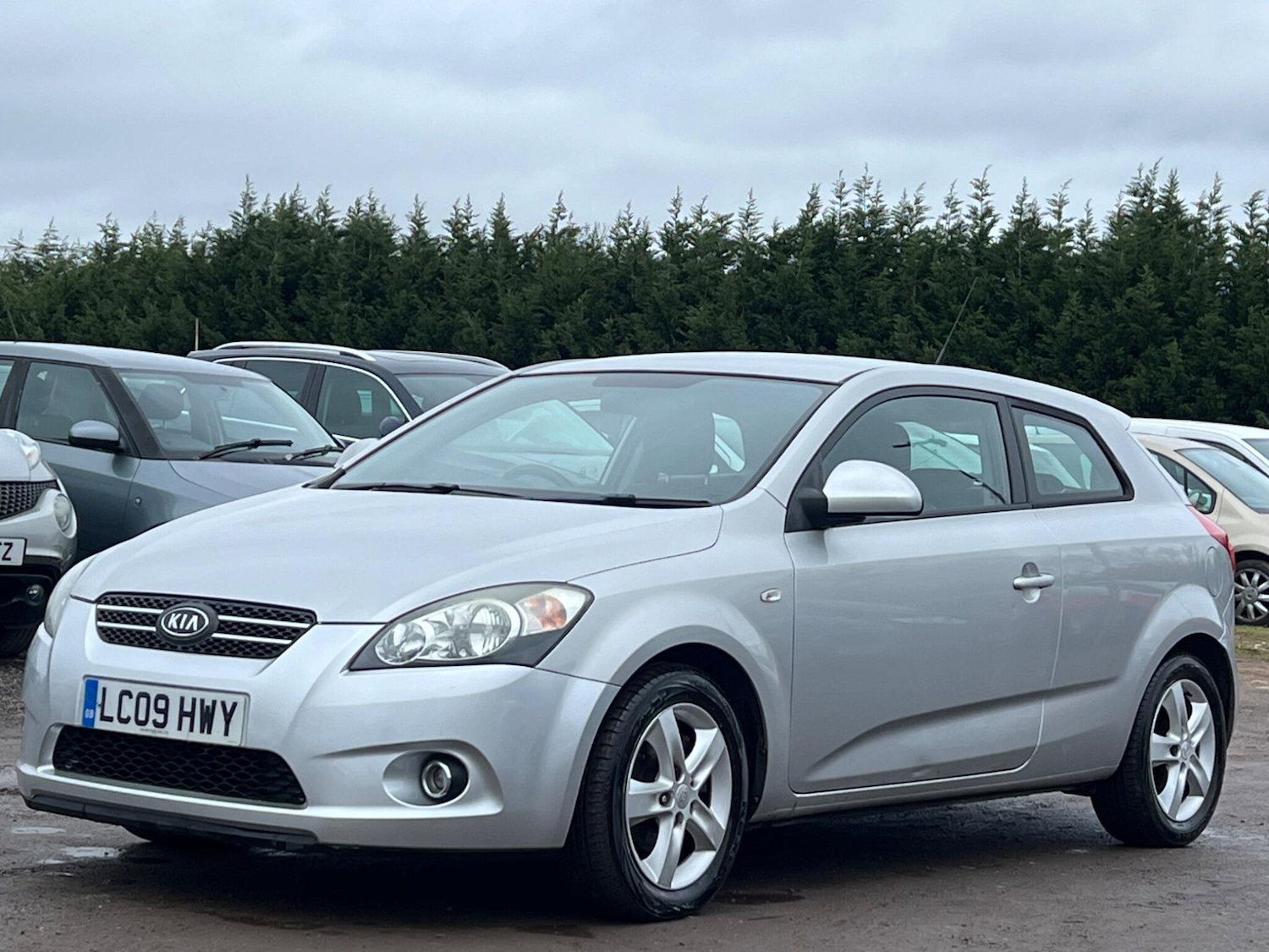 Used Kia Pro Ceed 2009 for sale - 77723520: Photo 3