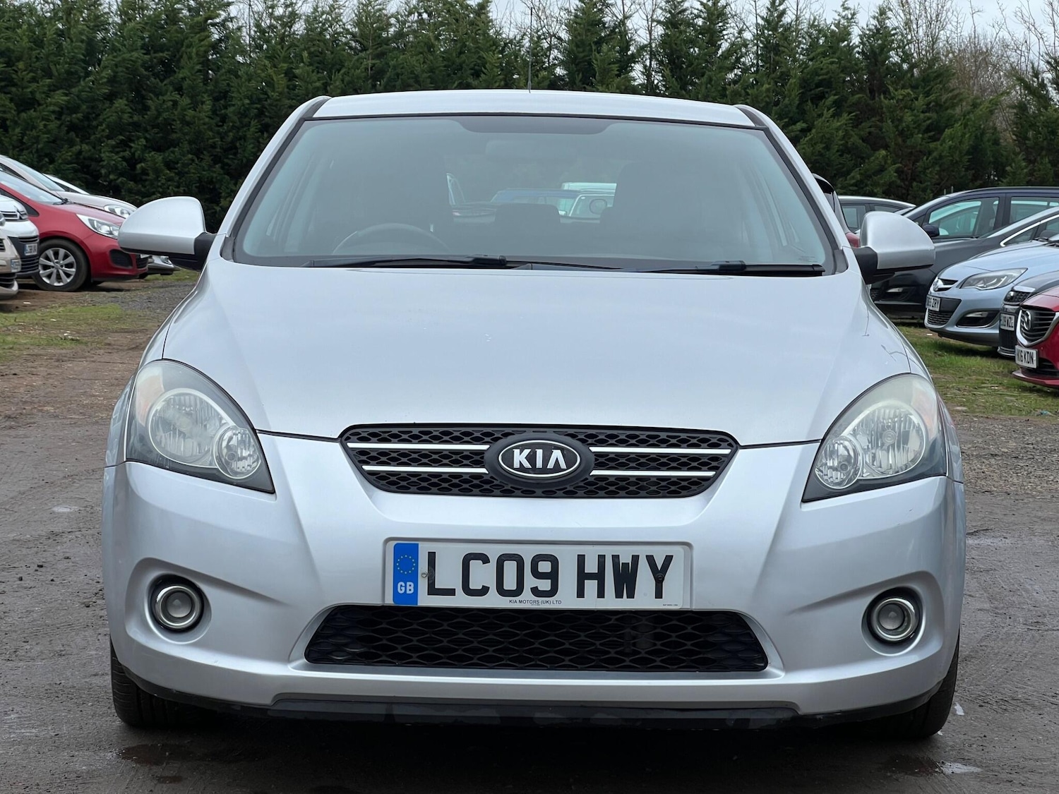 Used Kia Pro Ceed 2009 for sale - 77723520: Photo 4