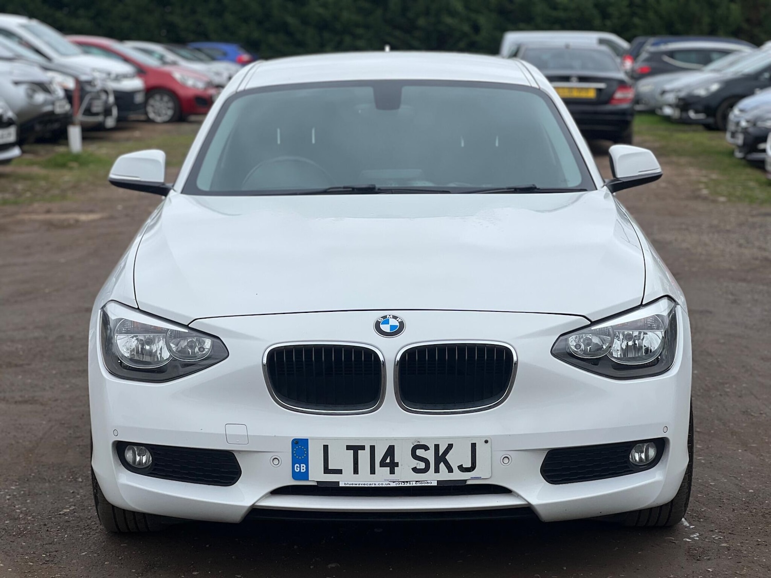 Used BMW 1 Series for sale - 77710030: Photo 3