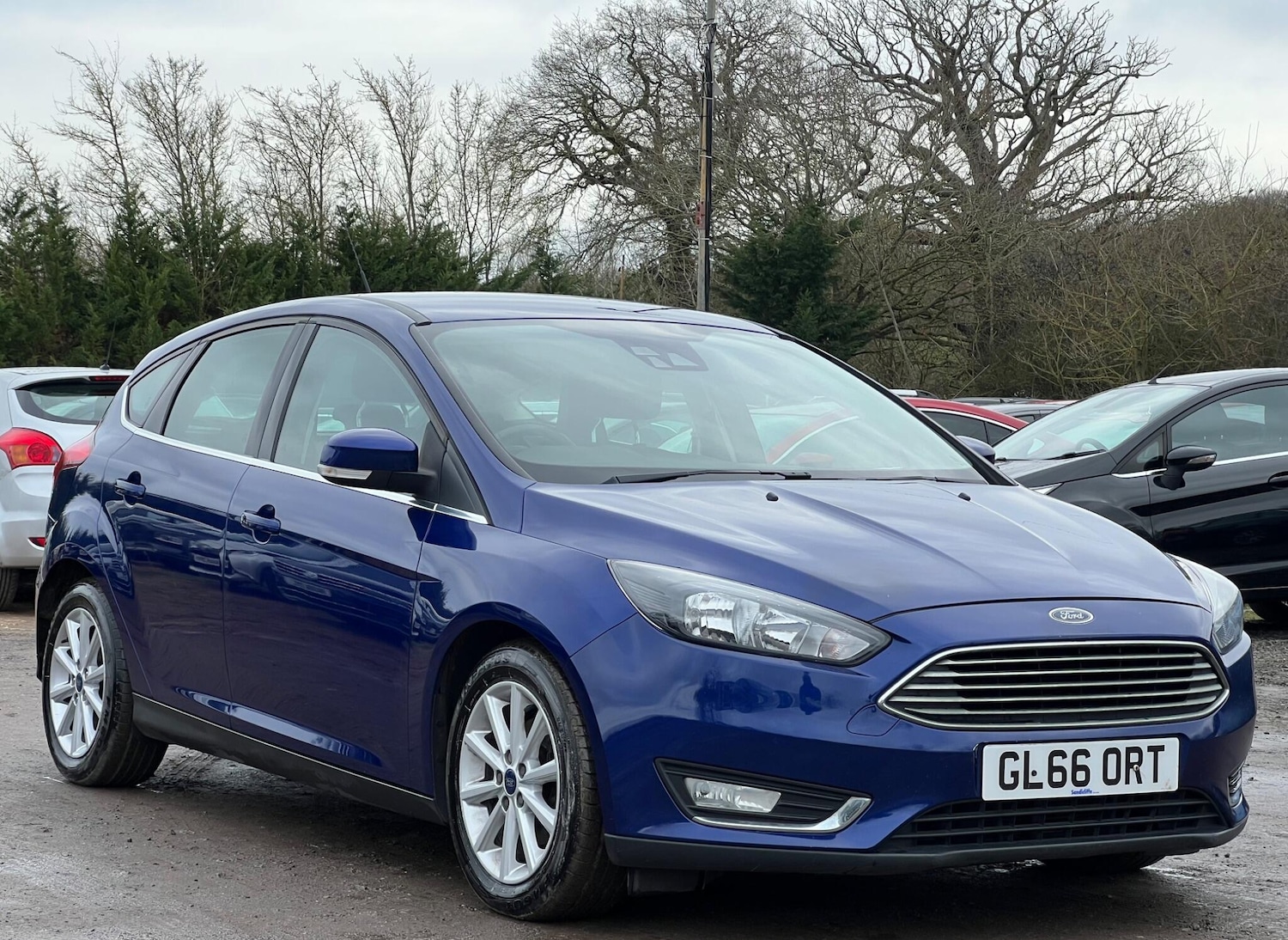 Used Ford Focus for sale - 77637693: Photo 2