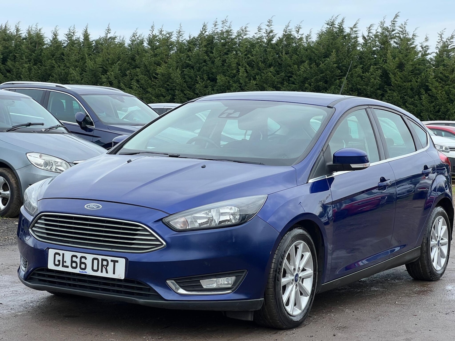 Used Ford Focus for sale - 77637693: Photo 3
