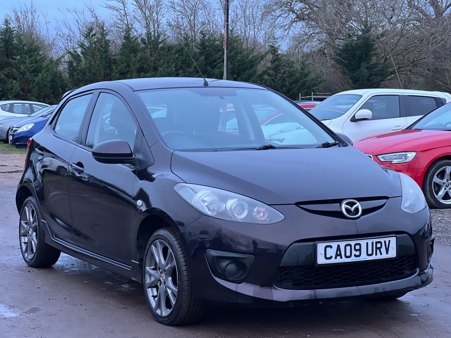 Used Mazda Mazda2 for sale - 77495922: Photo 2