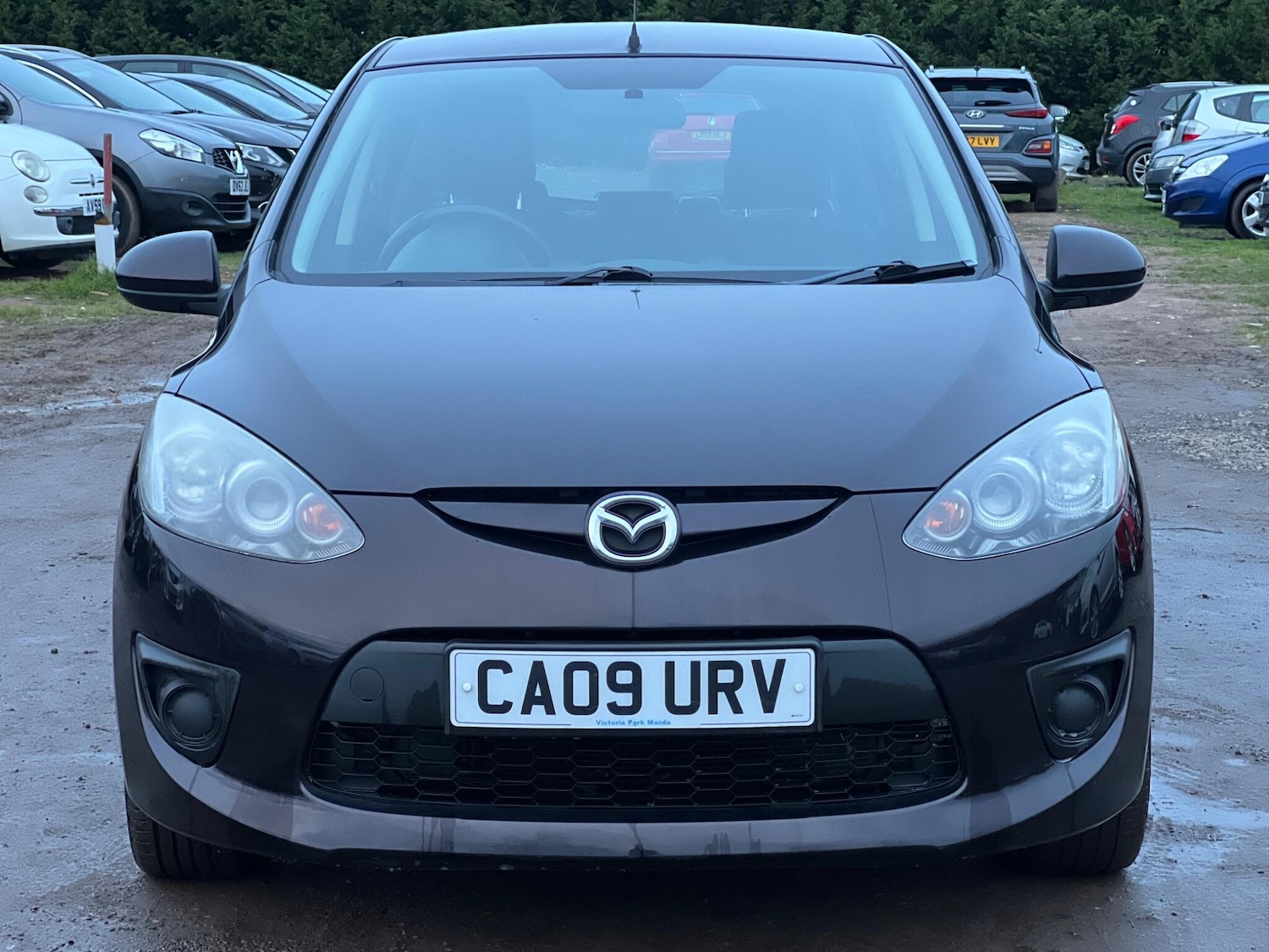 Used Mazda Mazda2 for sale - 77495922: Photo 3