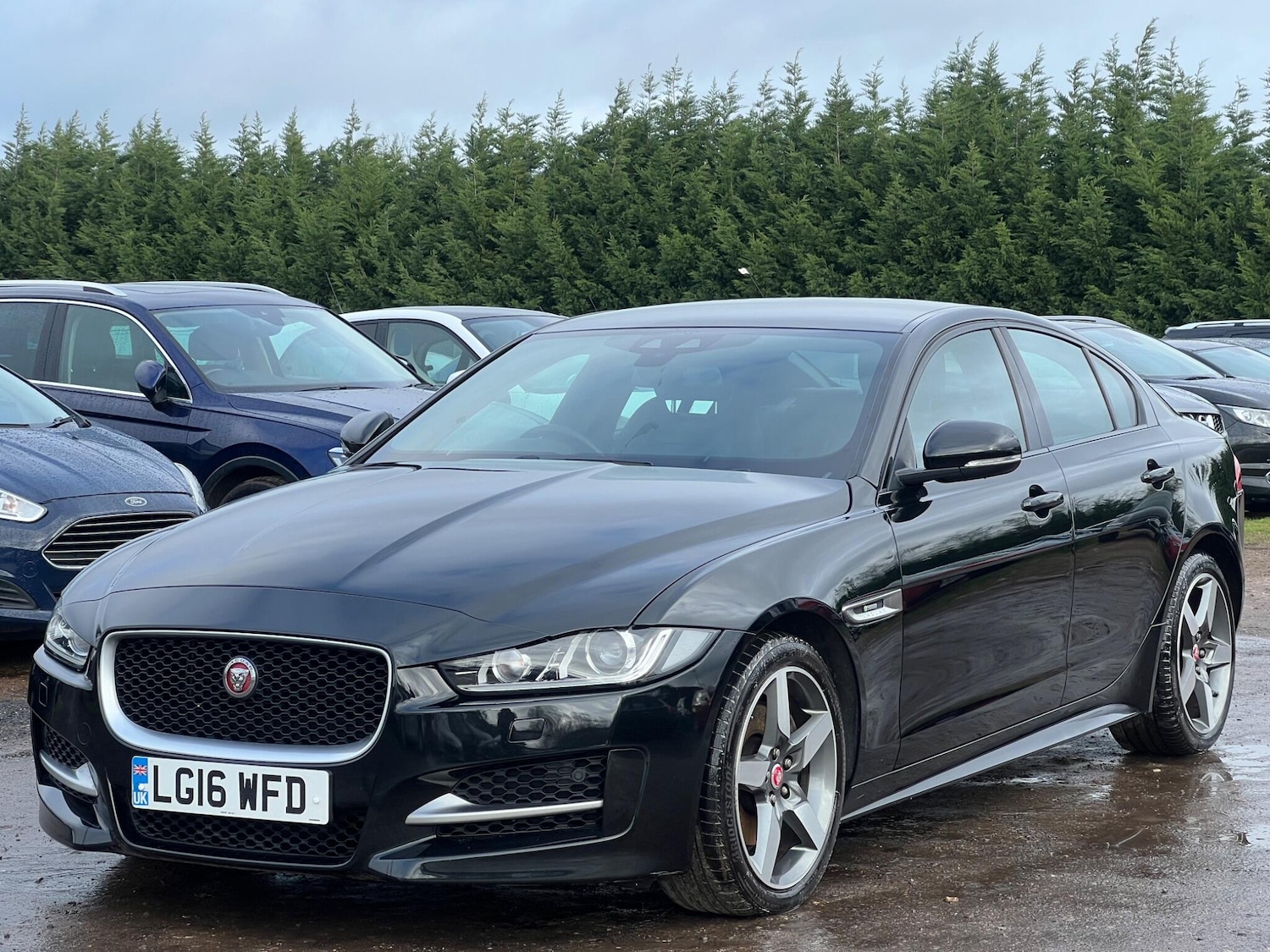 Used Jaguar XE 2016 for sale - 77523606: Photo 5
