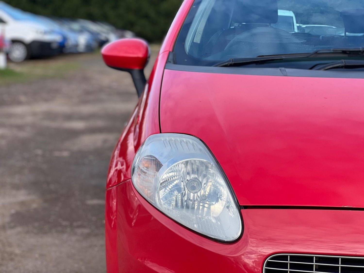 Used Fiat Grande Punto 2009 for sale - 77969903: Photo 19