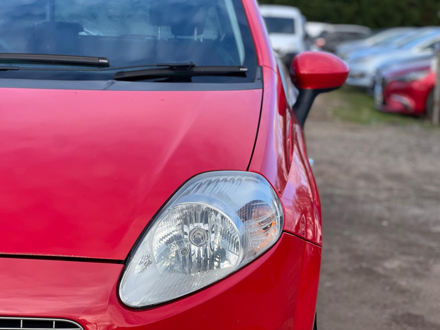 Used Fiat Grande Punto 2009 for sale - 77969903: Photo 20