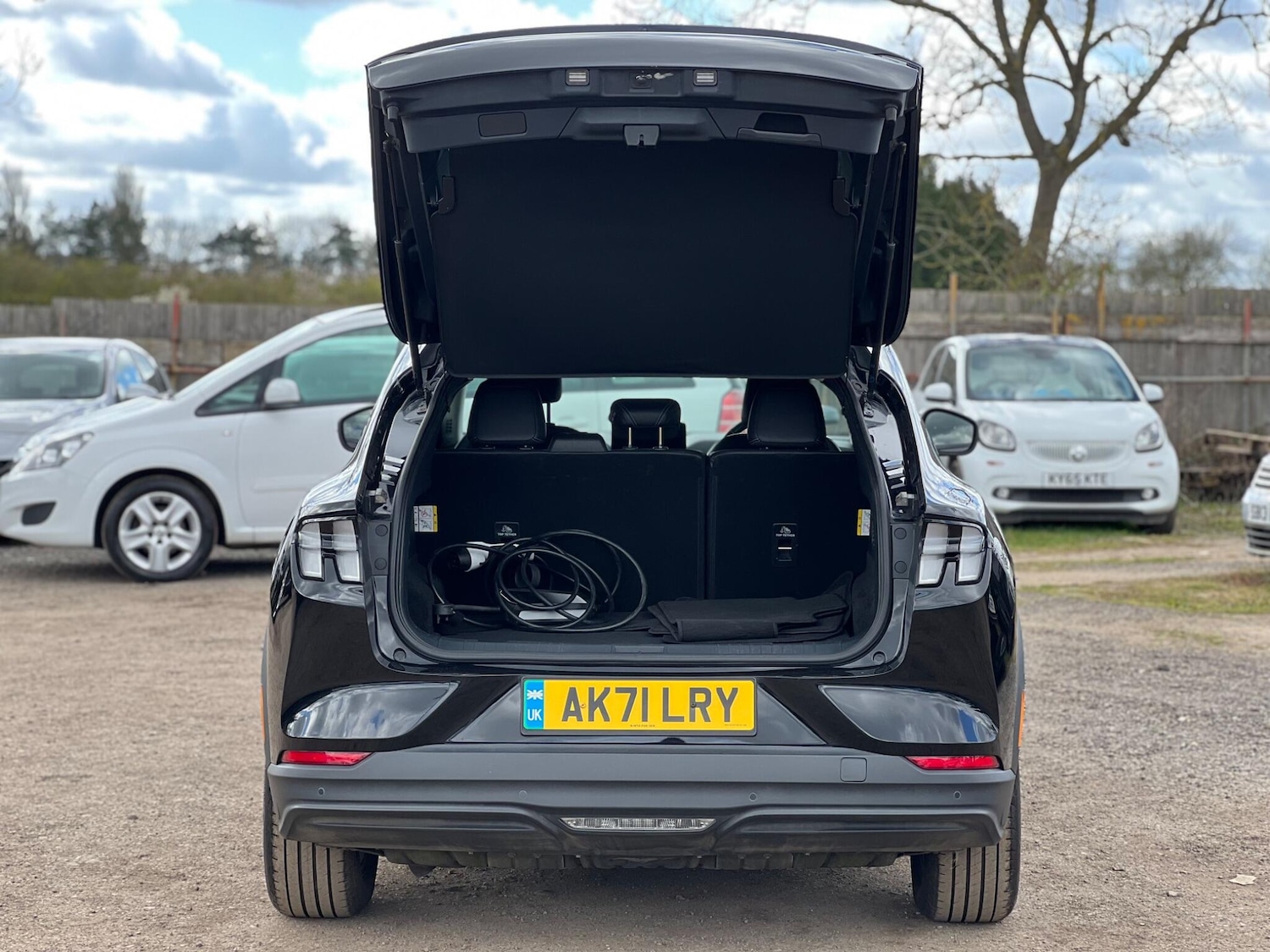 Used Ford Mustang Mach-E 2021 for sale - 78062942: Photo 9