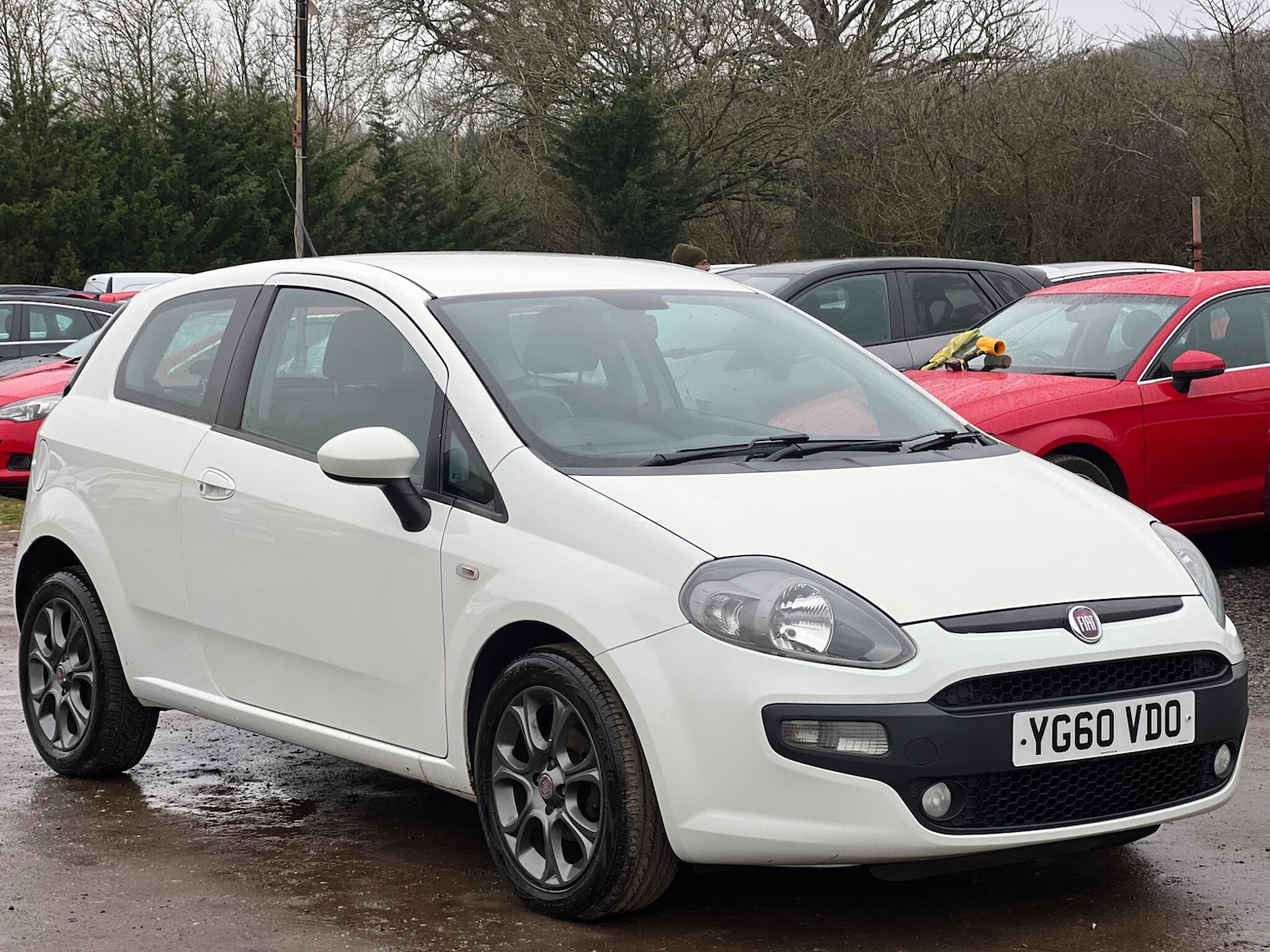 Used Fiat Punto Evo 2010 for sale - 77456302: Photo 3