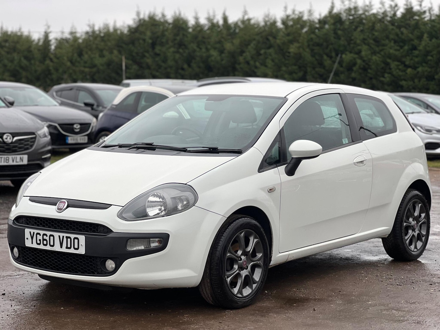 Used Fiat Punto Evo 2010 for sale - 77456302: Photo 5