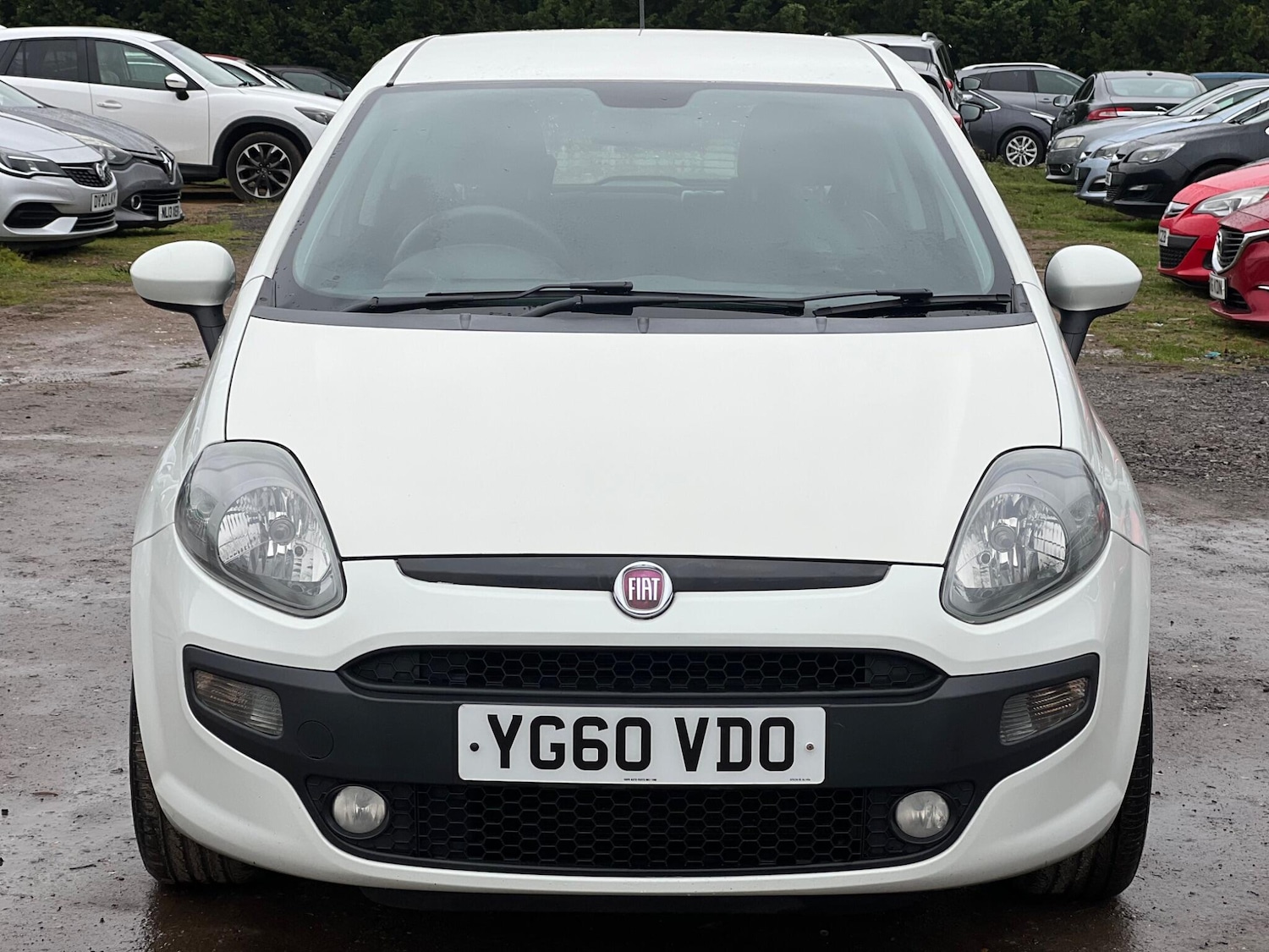 Used Fiat Punto Evo 2010 for sale - 77456302: Photo 6