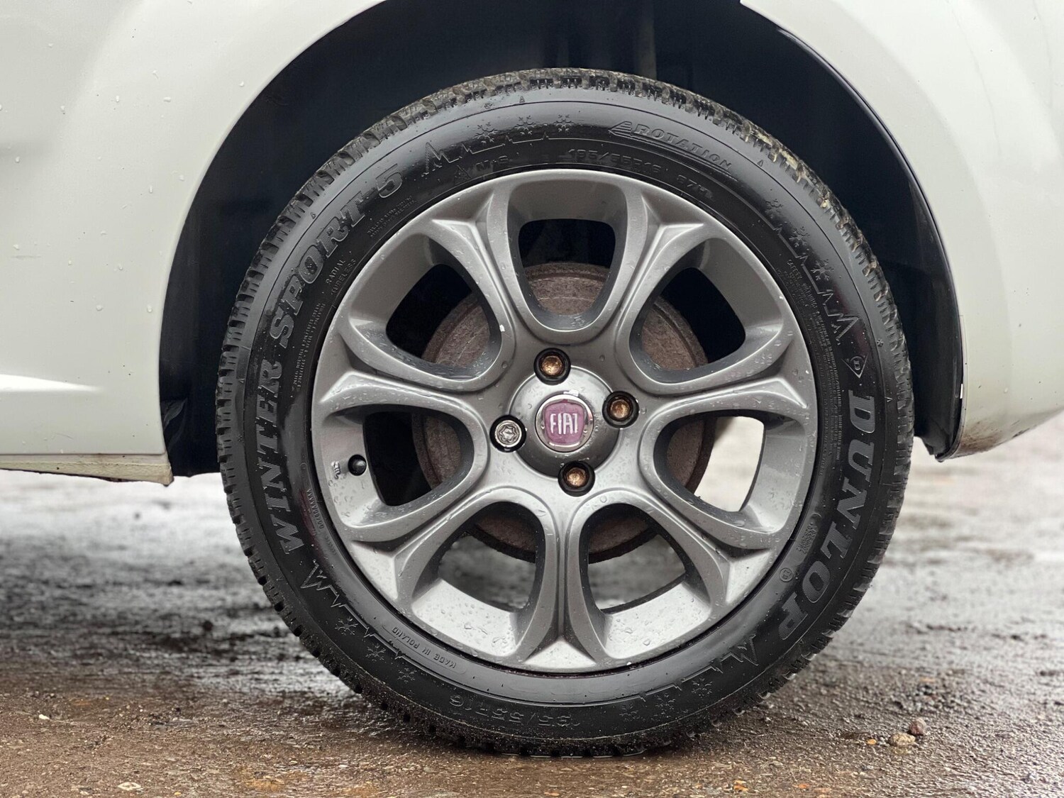 Used Fiat Punto Evo 2010 for sale - 77456302: Photo 62