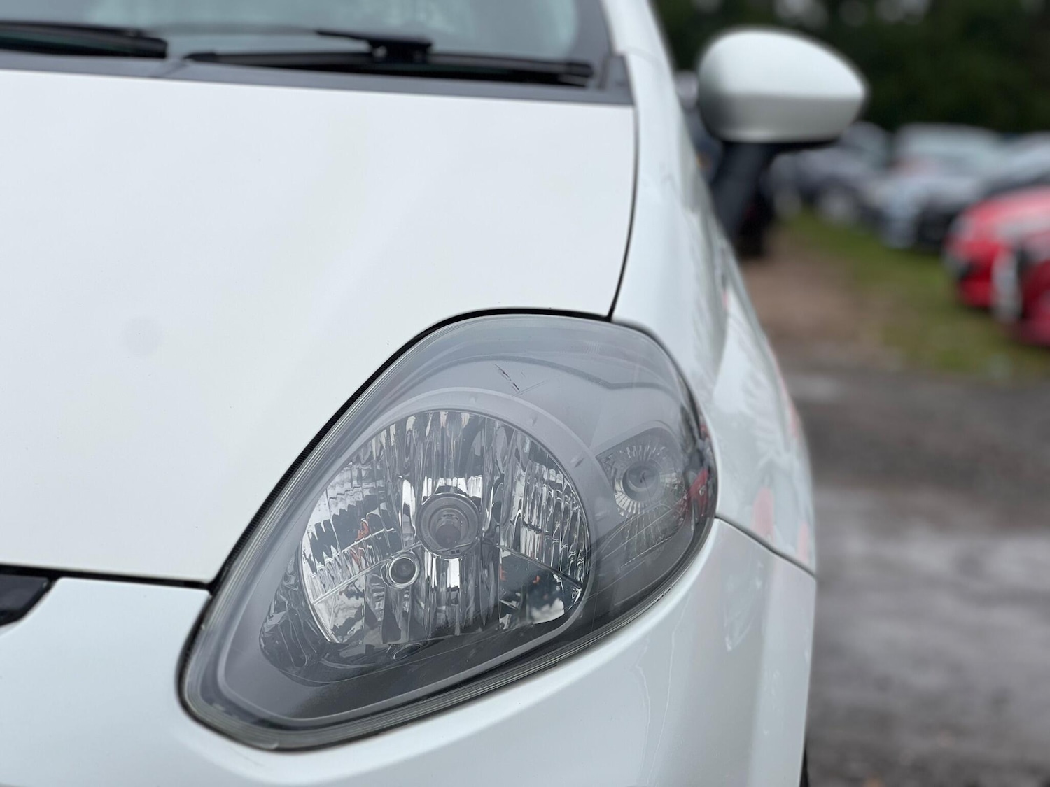 Used Fiat Punto Evo 2010 for sale - 77456302: Photo 7