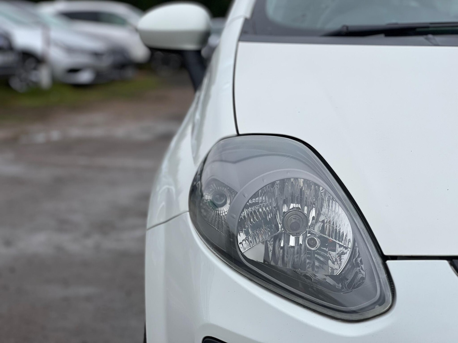 Used Fiat Punto Evo 2010 for sale - 77456302: Photo 8