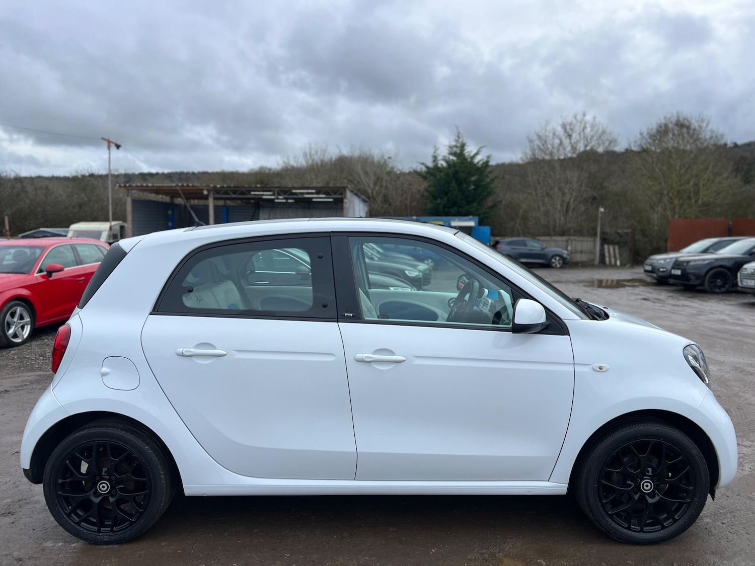 Used smart forfour 2016 for sale - 77537954: Photo 11