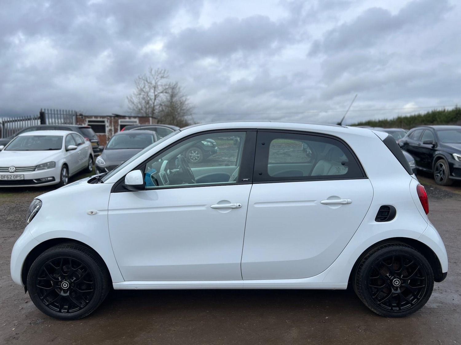 Used smart forfour 2016 for sale - 77537954: Photo 12