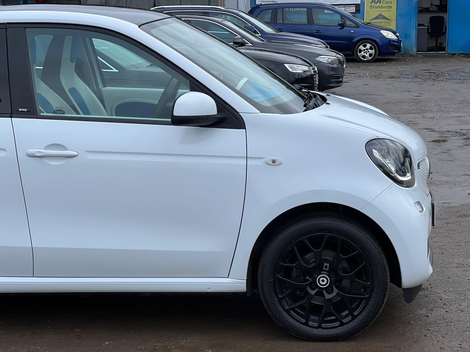 Used smart forfour 2016 for sale - 77537954: Photo 16