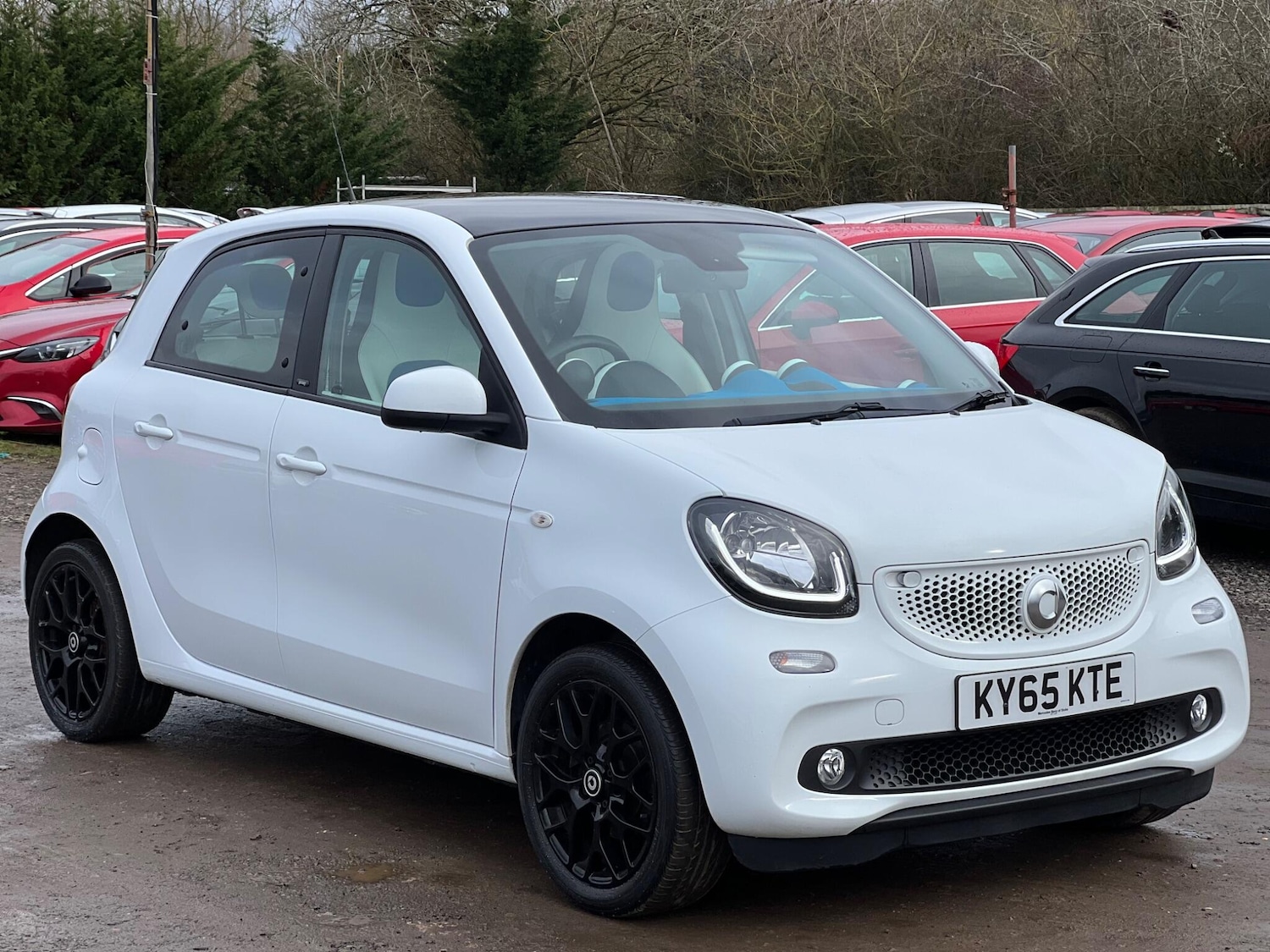 Used smart forfour 2016 for sale - 77537954: Photo 2