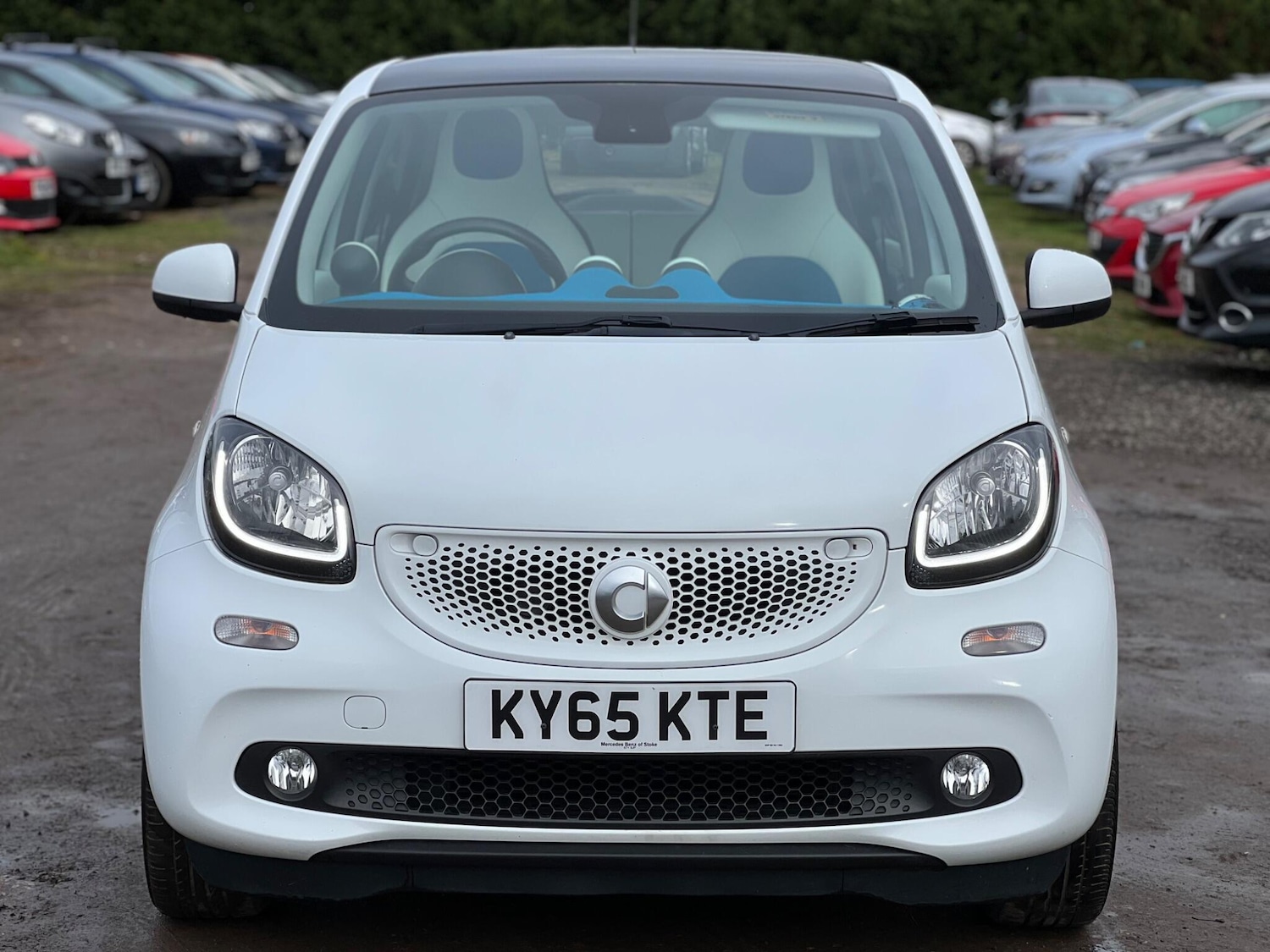 Used smart forfour 2016 for sale - 77537954: Photo 3