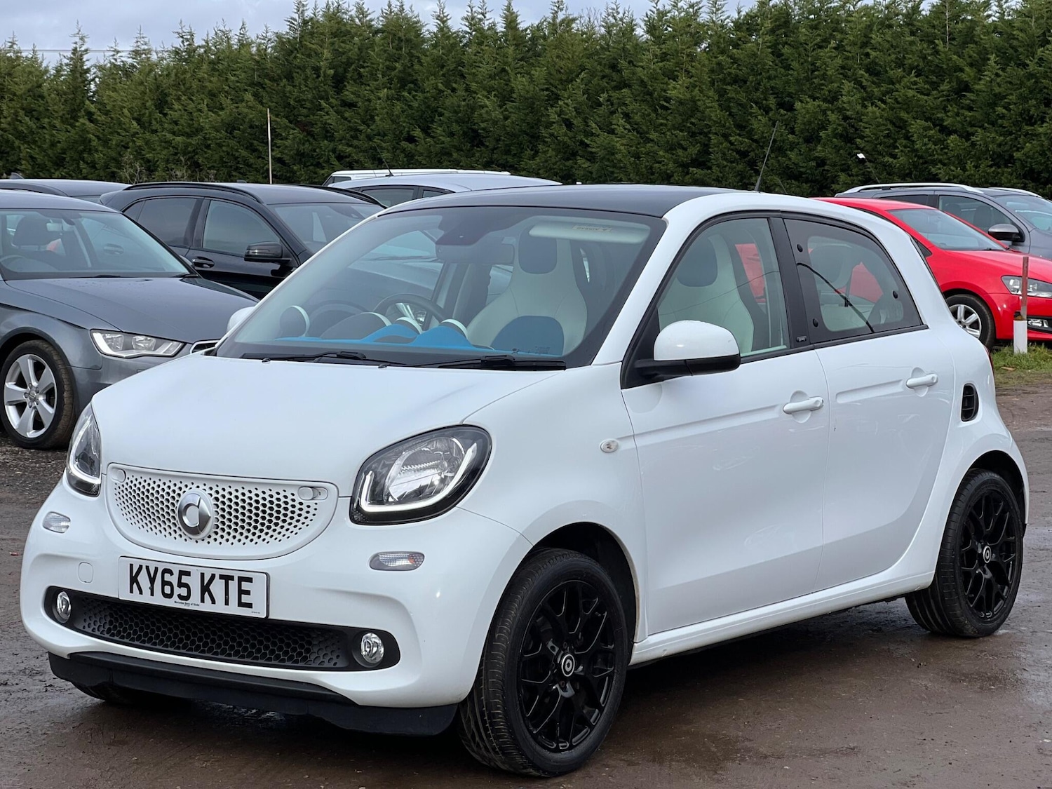 Used smart forfour 2016 for sale - 77537954: Photo 5