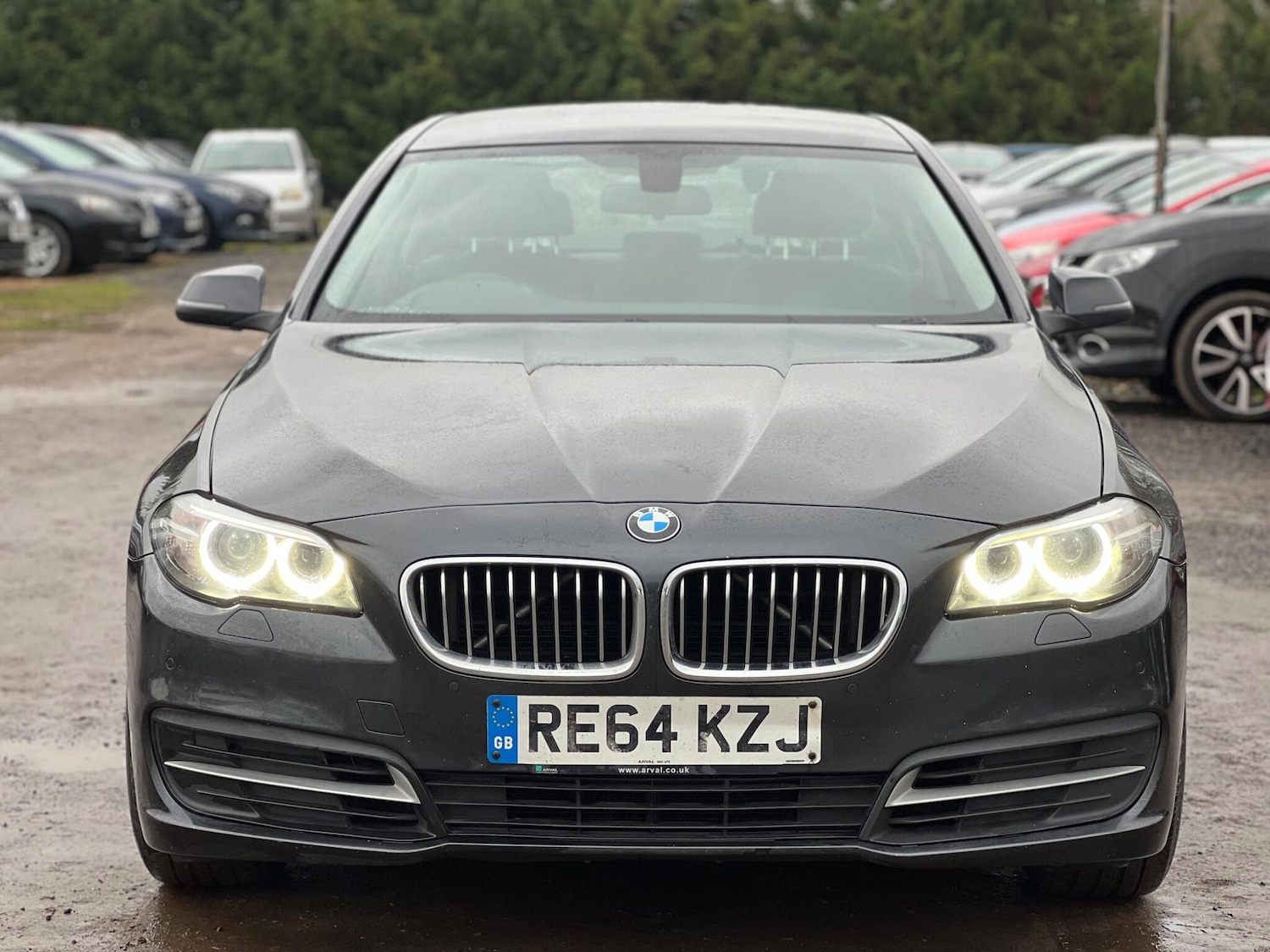 Used BMW 5 Series 2014 for sale - 77456368: Photo 3