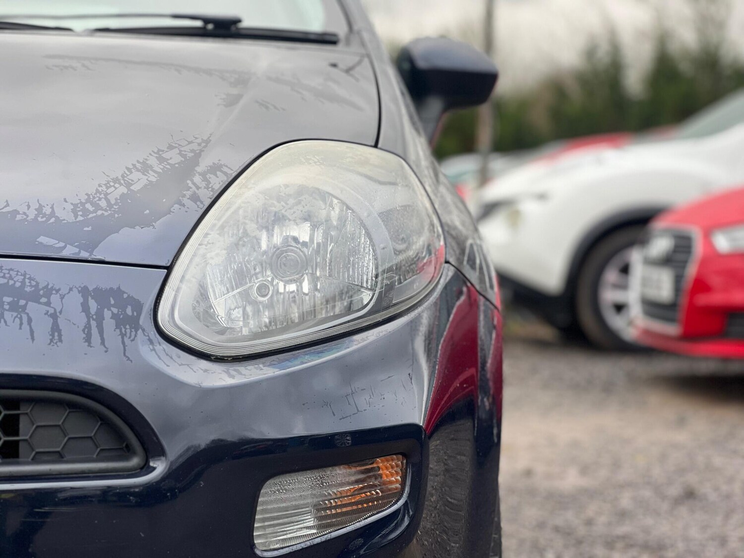 Used Fiat Punto 2015 for sale - 77510741: Photo 26