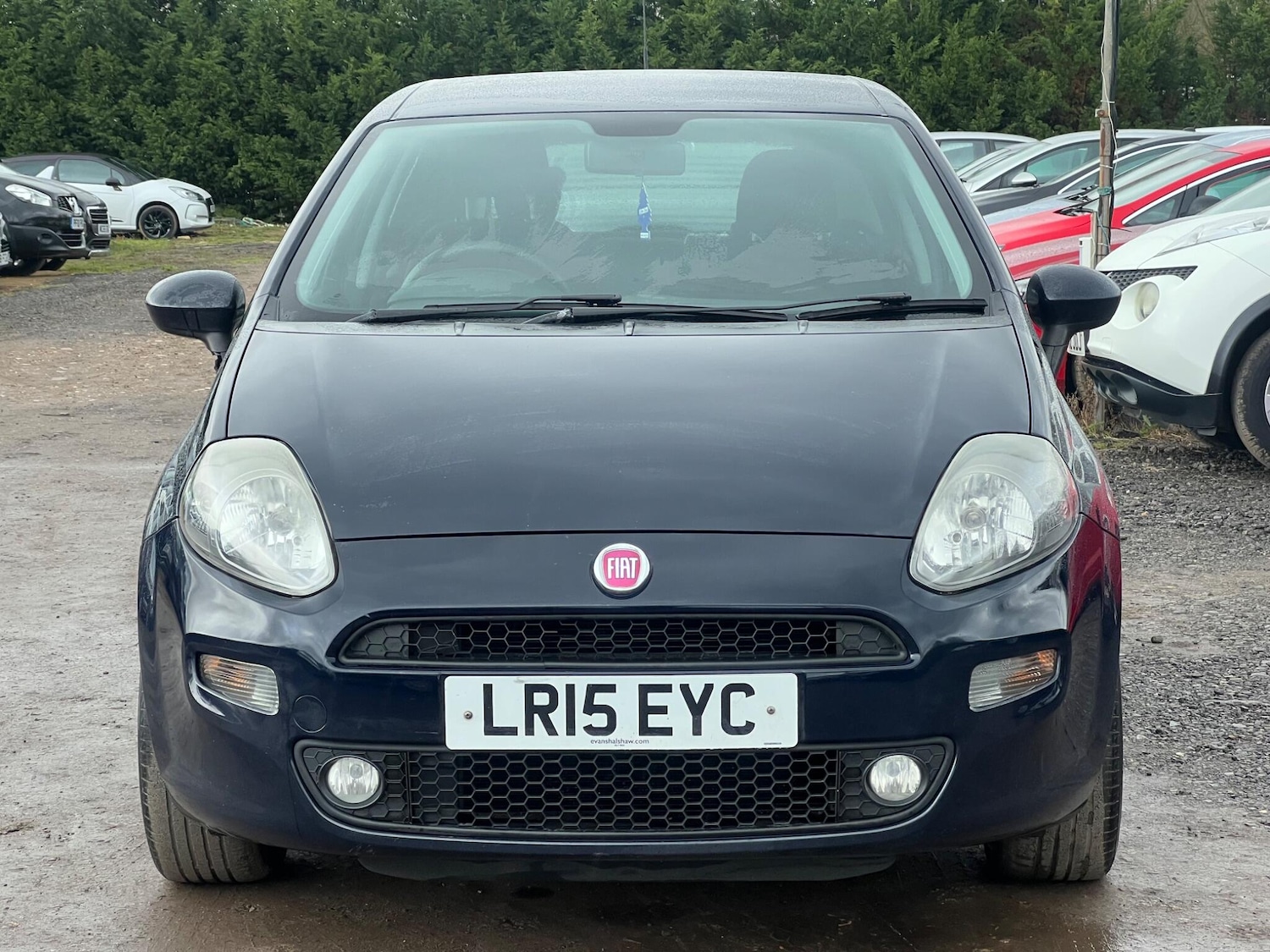 Used Fiat Punto 2015 for sale - 77510741: Photo 3