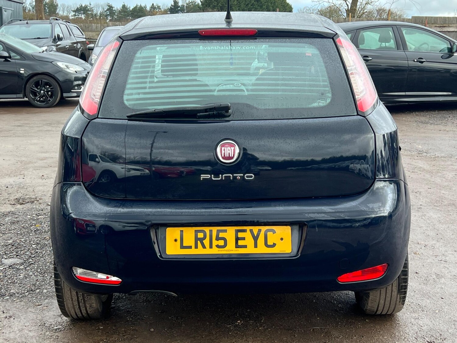 Used Fiat Punto 2015 for sale - 77510741: Photo 8