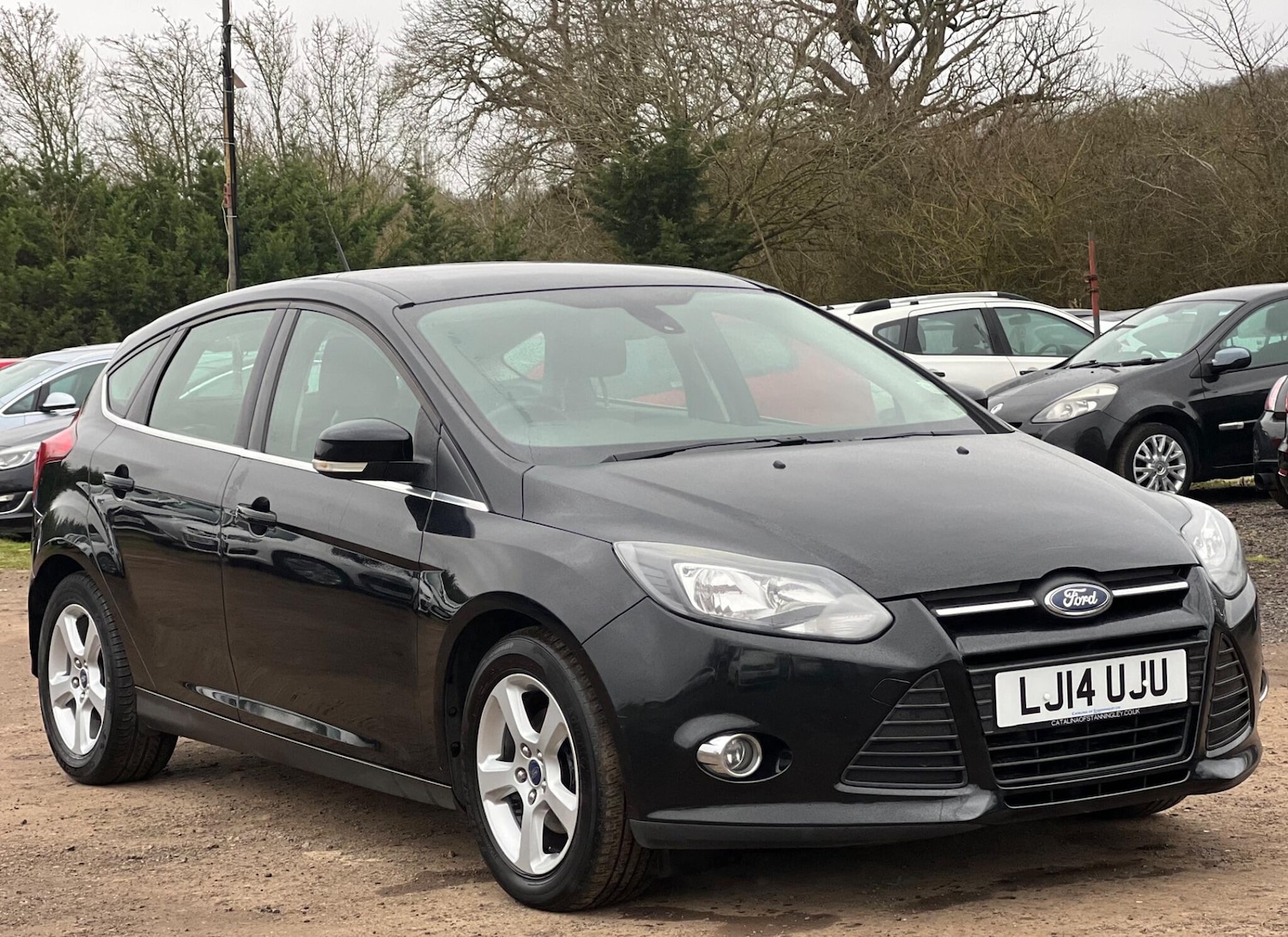 Used Ford Focus 2014 for sale - 77883312: Photo 2