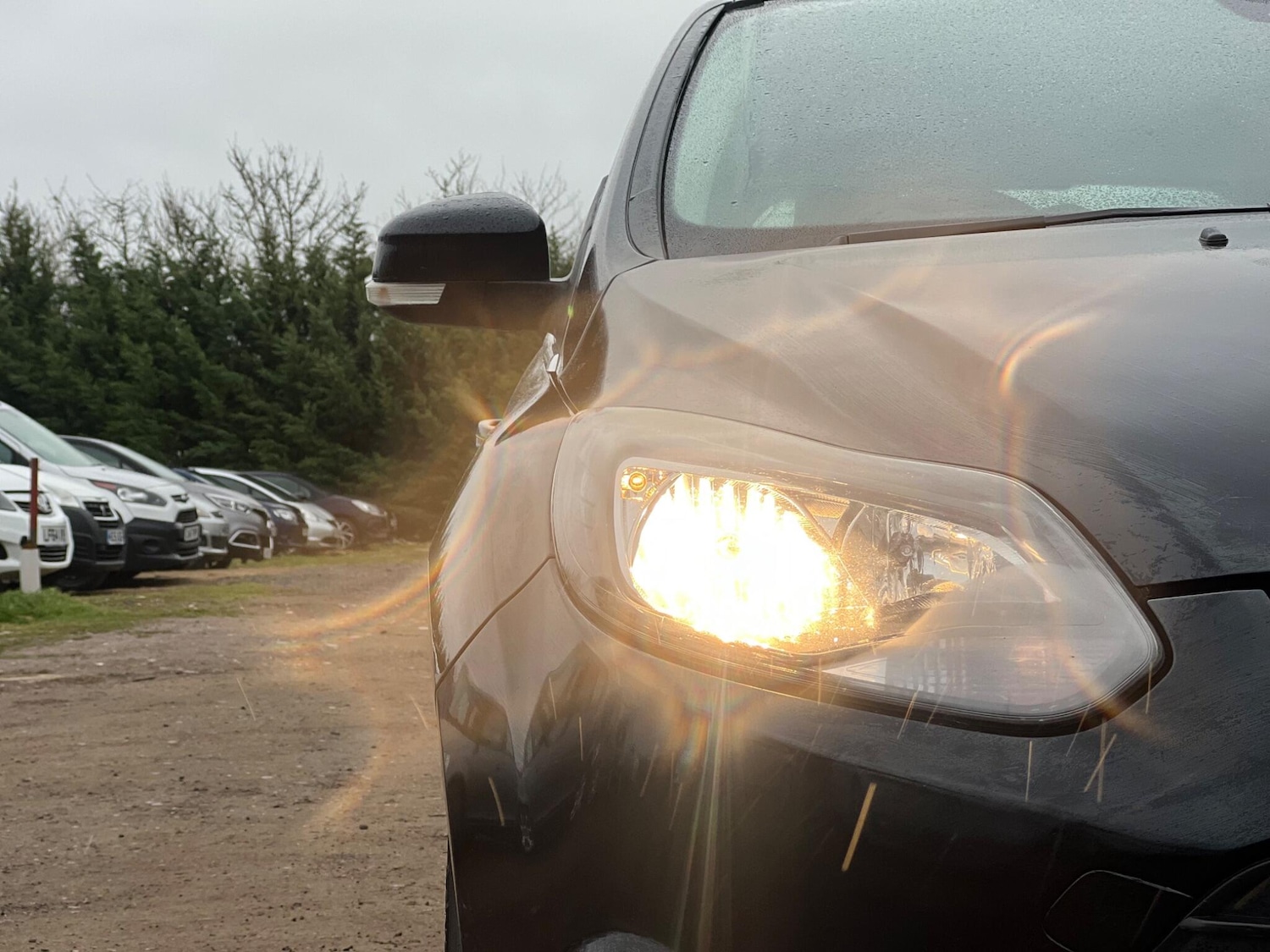 Used Ford Focus 2014 for sale - 77883312: Photo 20